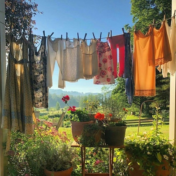 Meet your Posher, Alexa - Picture 1 of 1